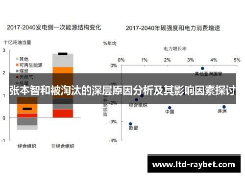 张本智和被淘汰的深层原因分析及其影响因素探讨