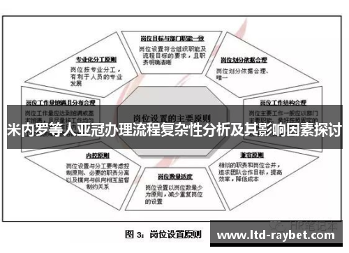 米内罗等人亚冠办理流程复杂性分析及其影响因素探讨