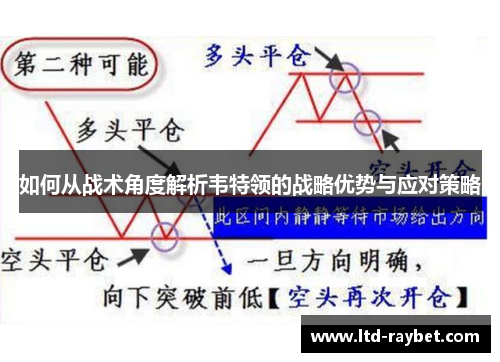 如何从战术角度解析韦特领的战略优势与应对策略
