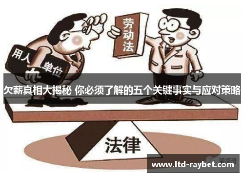 欠薪真相大揭秘 你必须了解的五个关键事实与应对策略