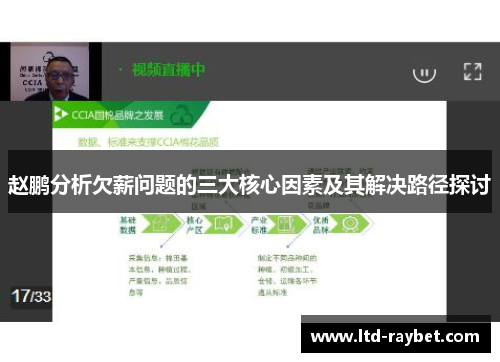 赵鹏分析欠薪问题的三大核心因素及其解决路径探讨