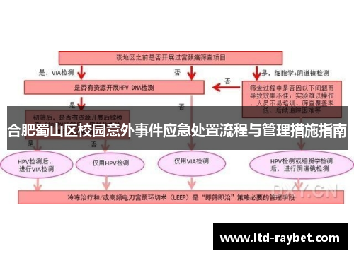 合肥蜀山区校园意外事件应急处置流程与管理措施指南