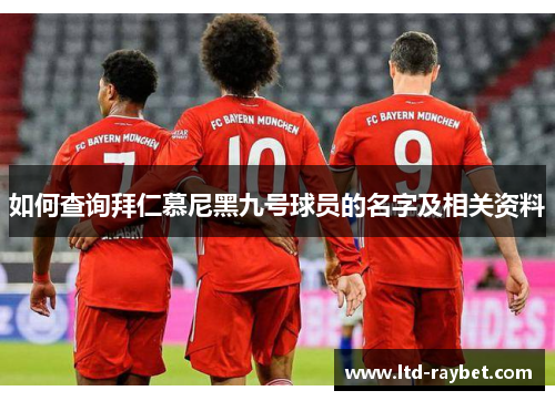 如何查询拜仁慕尼黑九号球员的名字及相关资料