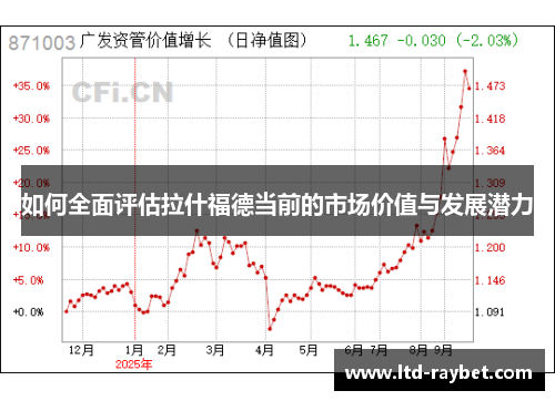 如何全面评估拉什福德当前的市场价值与发展潜力