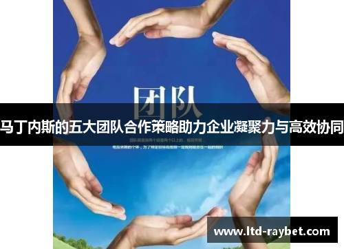 马丁内斯的五大团队合作策略助力企业凝聚力与高效协同