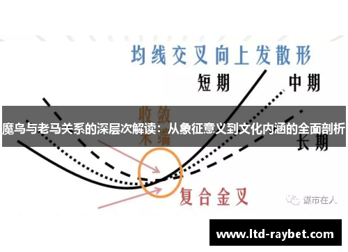 魔鸟与老马关系的深层次解读：从象征意义到文化内涵的全面剖析